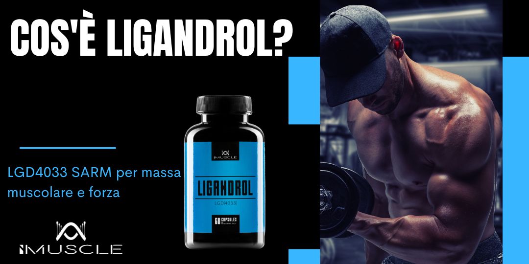 Cos'è Ligandrol LGD4033?