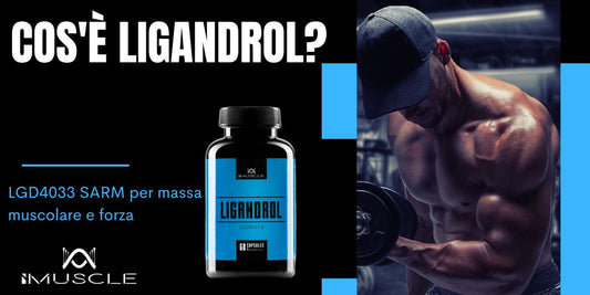 Cos'è Ligandrol LGD4033?