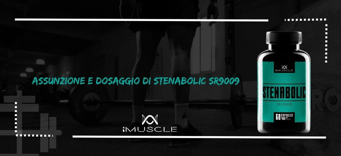 Stenabolic SR9009 Assunzione
