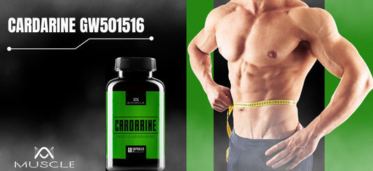 Azione di Cardarine GW501516