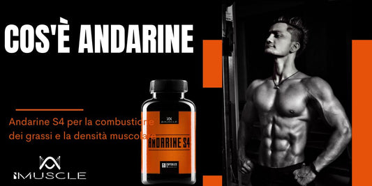 Cos'è Andarine S4?