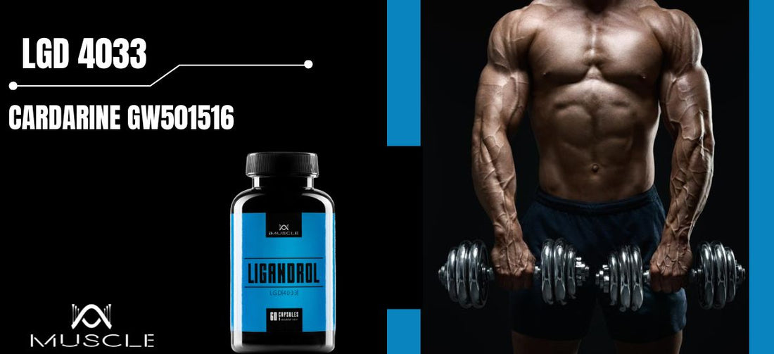Azione del Ligandrol LGD4033