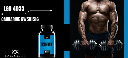 Azione del Ligandrol LGD4033