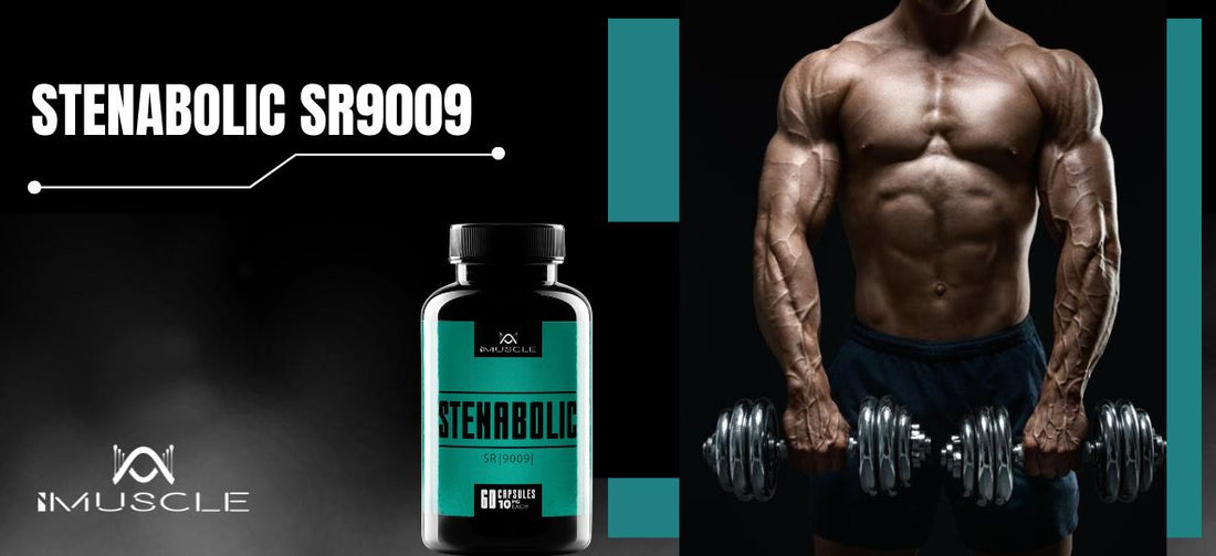 Azione di Stenabolic SR9009